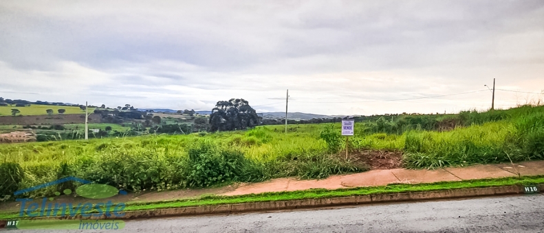 Lote - Parque Alvorada