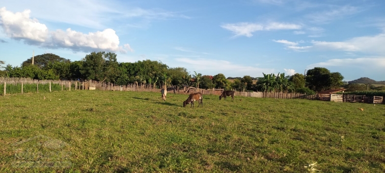 SITIO NA CAPETINGA