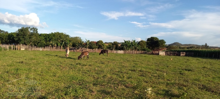 SITIO NA CAPETINGA