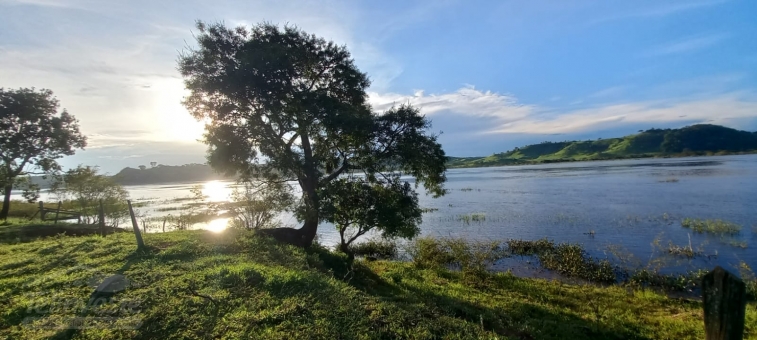 SITIO NA CAPETINGA