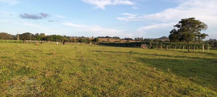 SITIO NA CAPETINGA