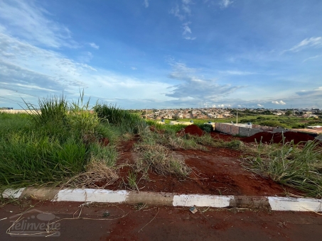 Lotes na Av. - bairro Nova Passos