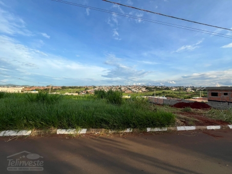 Lotes na Av. - bairro Nova Passos