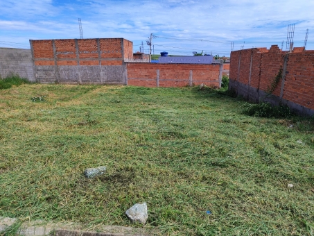 lote no tropical