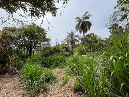 2 alqueires entre Passos e Fortaleza