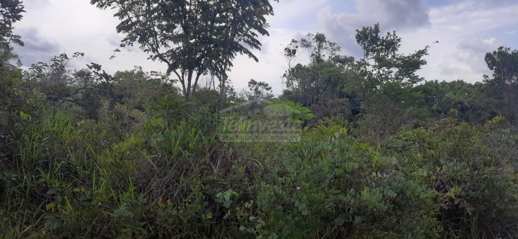 EXCELENTE FAZENDA A VENDA EM FORMIGA