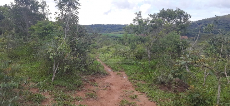 EXCELENTE FAZENDA A VENDA EM FORMIGA