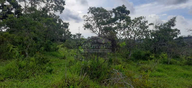 EXCELENTE FAZENDA A VENDA EM FORMIGA