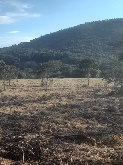 EXCELENTE FAZENDA A VENDA EM FORMIGA