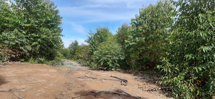 EXCELENTE FAZENDA A VENDA EM FORMIGA