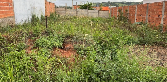 Lote no Floren&ccedil;a