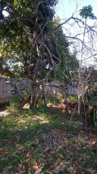 TERRENO NO CONDOM&Iacute;NIO LUCIANA