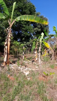 TERRENO NO CONDOM&Iacute;NIO LUCIANA