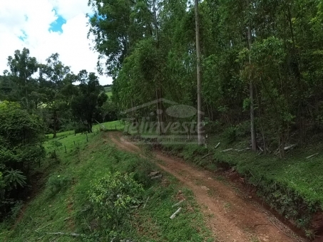 &Aacute;REA RURAL - 3.7 HECTARES - MUMBUCA