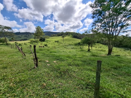 SITIO NA LINHA DO BANANAL