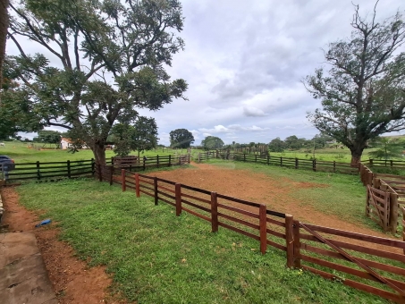 BEL&Iacute;SSIMA FAZENDA NA LINHA DO BANANAL