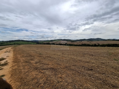 BEL&Iacute;SSIMA FAZENDA NA LINHA DO BANANAL