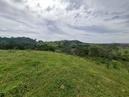 BEL&Iacute;SSIMA FAZENDA NA LINHA DO BANANAL
