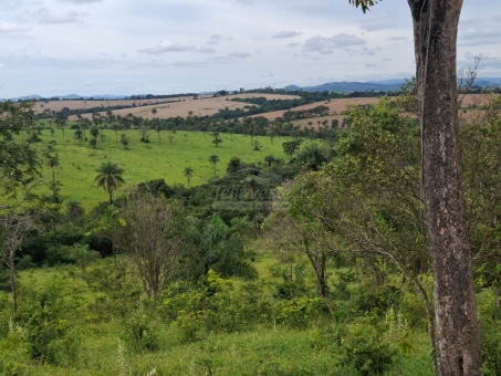 BEL&Iacute;SSIMA FAZENDA NA LINHA DO BANANAL