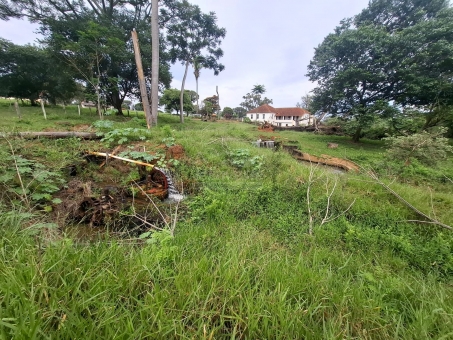 BEL&Iacute;SSIMA FAZENDA NA LINHA DO BANANAL