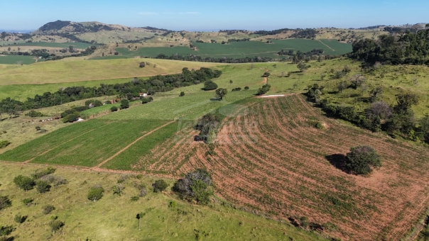 FAZENDA A VENDA 