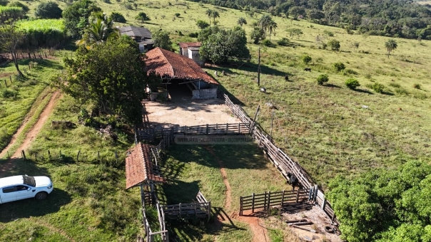 FAZENDA A VENDA 