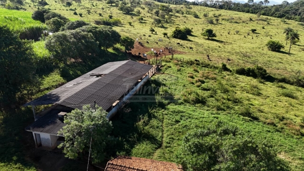 FAZENDA A VENDA 