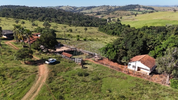 FAZENDA A VENDA 