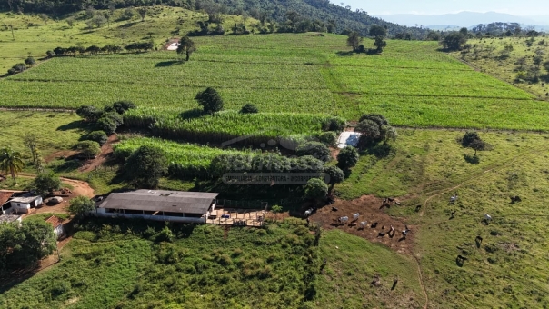FAZENDA A VENDA 