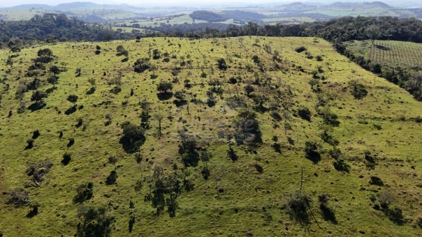 FAZENDA A VENDA 