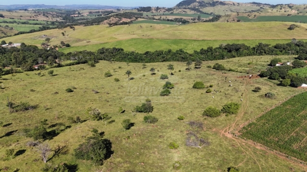 FAZENDA A VENDA 