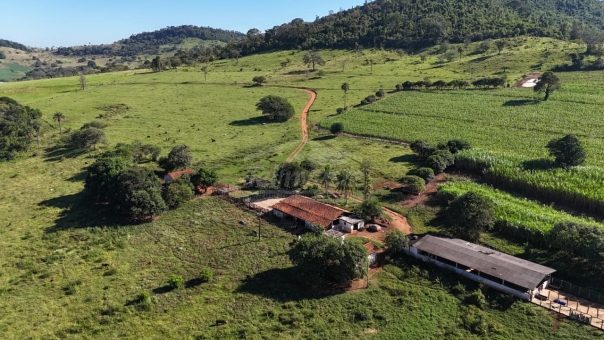 FAZENDA A VENDA 