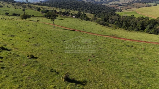 FAZENDA A VENDA 