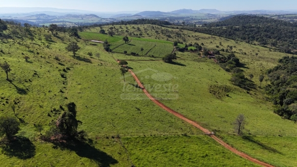 FAZENDA A VENDA 