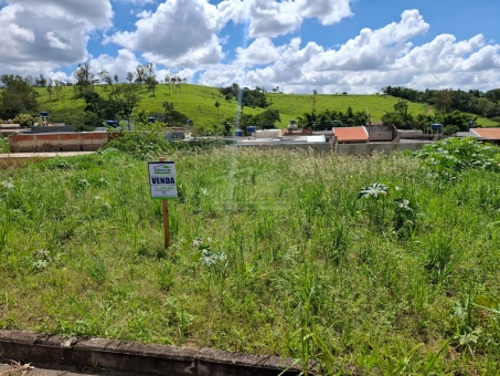 LOTE NO BAIRRO BELVEDERE