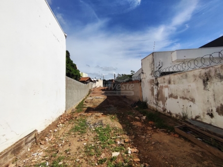 LOTE EXCELENTE LOCALIZA&Ccedil;&Atilde;O - AVENIDA DA MODA