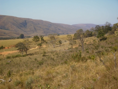 EXCELENTE FAZENDA A VENDA - DELFIN&Oacute;POLIS 