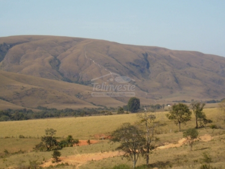 EXCELENTE FAZENDA A VENDA - DELFIN&Oacute;POLIS 