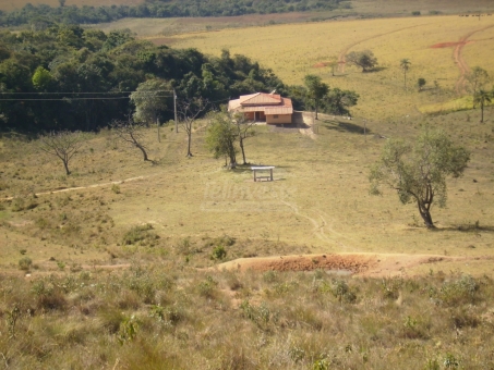 EXCELENTE FAZENDA A VENDA - DELFIN&Oacute;POLIS 