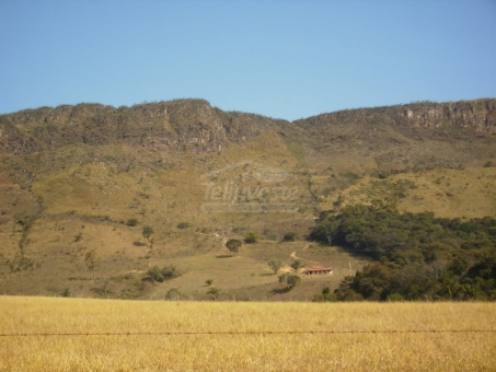 EXCELENTE FAZENDA A VENDA - DELFIN&Oacute;POLIS 