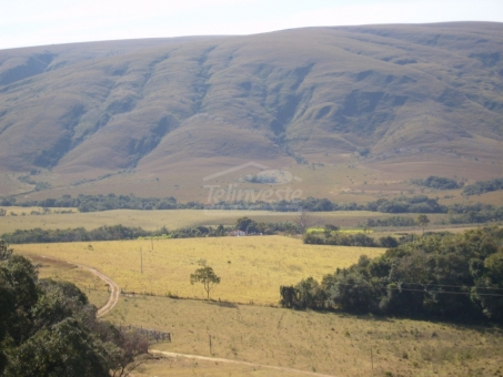 EXCELENTE FAZENDA A VENDA - DELFIN&Oacute;POLIS 