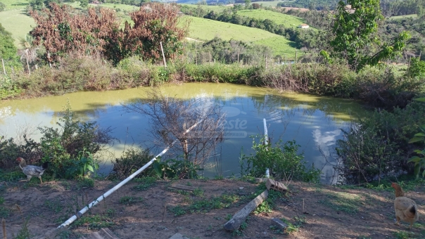 SITIO COM 3 ALQUEIRES NA REGI&Atilde;O DA MUMBUCA 