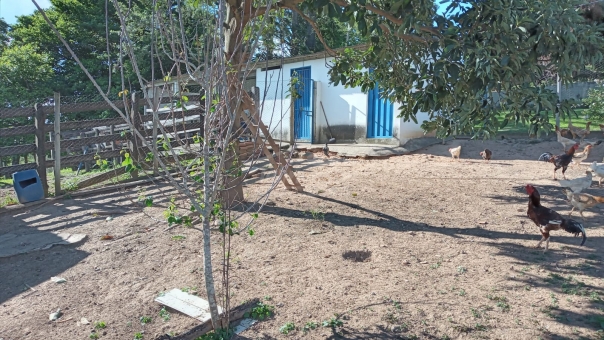 SITIO COM 3 ALQUEIRES NA REGI&Atilde;O DA MUMBUCA 