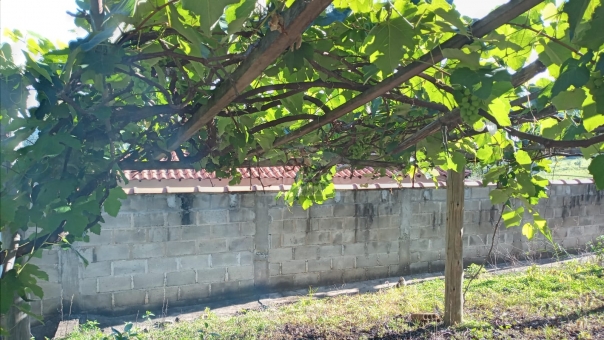SITIO COM 3 ALQUEIRES NA REGI&Atilde;O DA MUMBUCA 