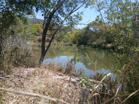 &Aacute;REA RURAL A VENDA REGI&Atilde;O DAS &Aacute;GUAS