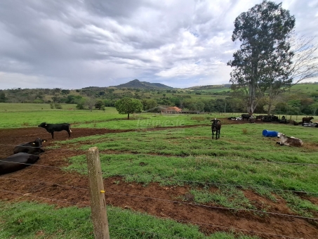 SITIO NA LINHA DAS AREIAS
