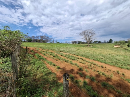 SITIO NA LINHA DAS AREIAS