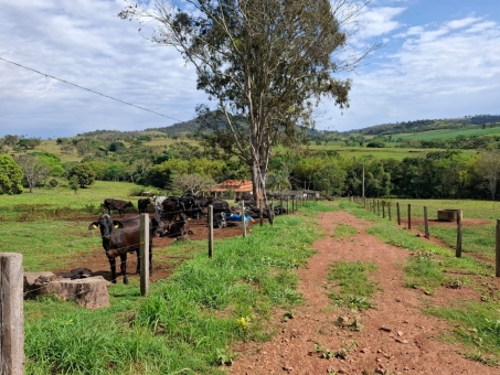 SITIO NA LINHA DAS AREIAS