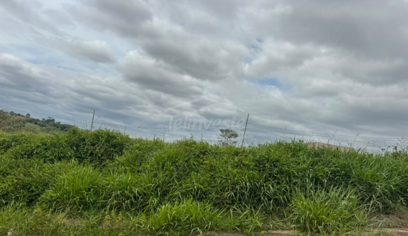 LOTE A VENDA NO ANTONIO &Aacute;VILA
